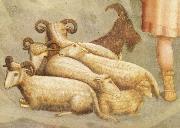 GIOTTINO (Giotto di Stefano) Detail of Birth of Christ oil painting